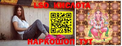 apvp Краснодар