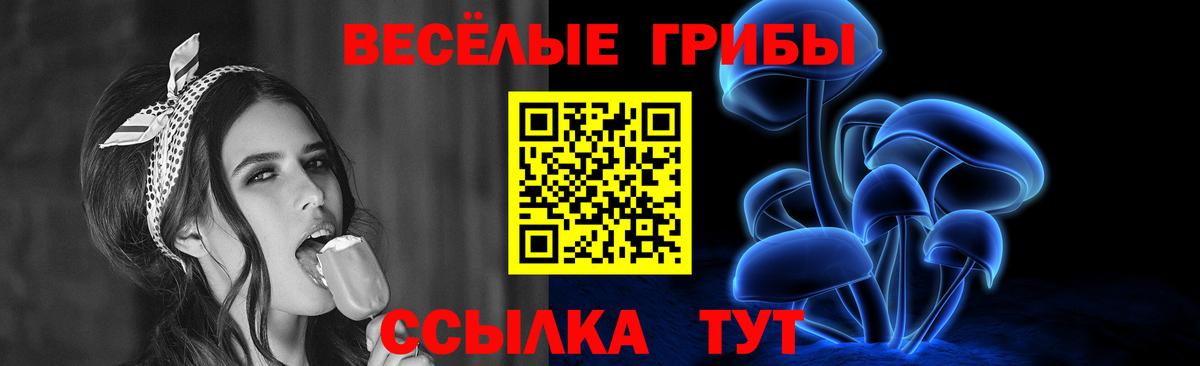 Галлюциногенные грибы MAGIC MUSHROOMS Фрязино
