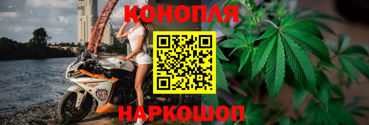 Канабис сатива Фрязино